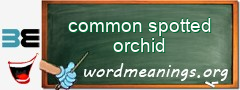 WordMeaning blackboard for common spotted orchid